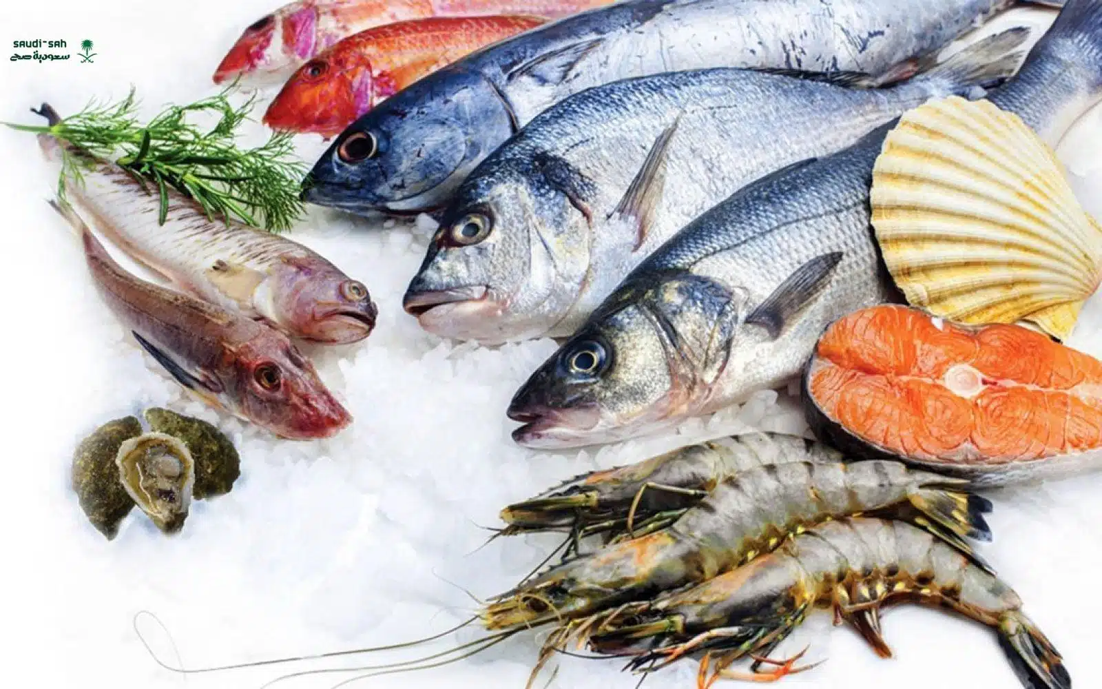 تعرف على أسعار الجمبري والمأكولات البحرية في الغربية